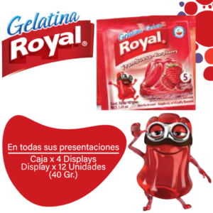 Royal Gelatina en Polvo Frambuesa Caja 4 Displayx12ux40g